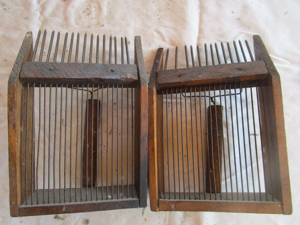 Rateau � myrtilles 20 Modenheim (68)