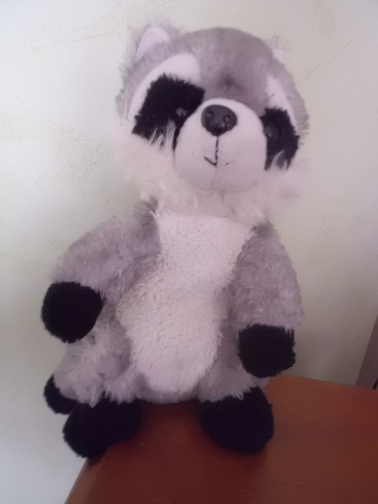 Raton Laveur Roda 15 Oignies (62)