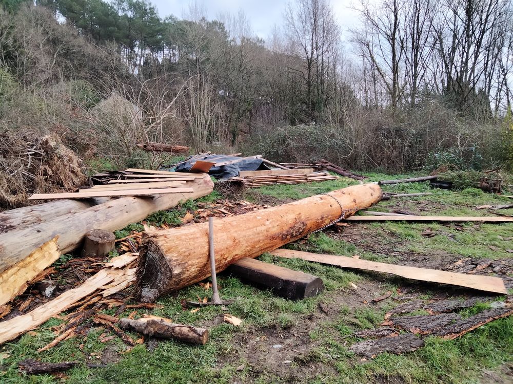 Recherche billo douglas et autres 10 Cournon (56)