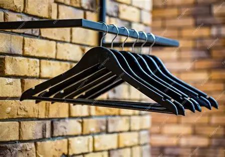 RECHERCHE CINTRES VETEMENTS 0 Velluire (85)