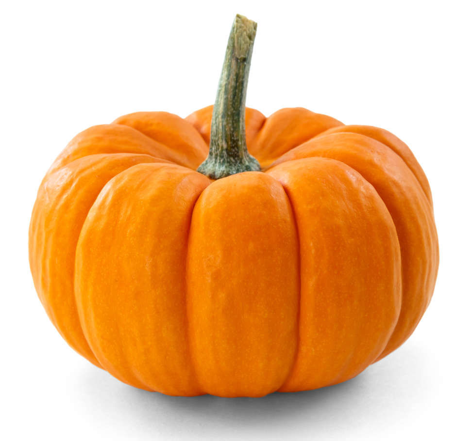 recherche citrouille 0 Torcy (71)