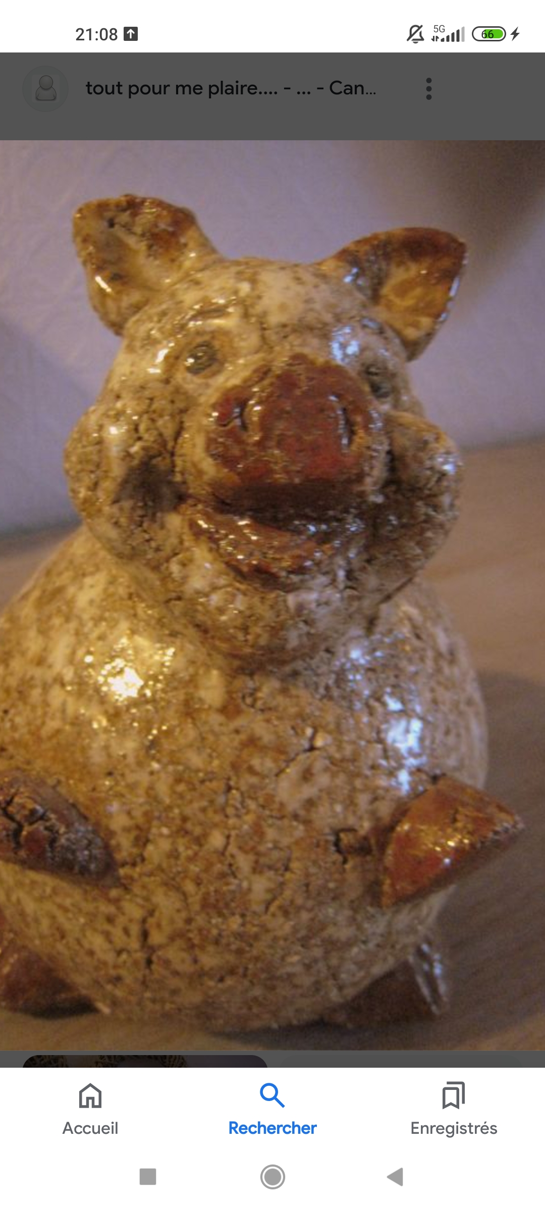 Recherche cochon athezza 35 Razac-sur-l'Isle (24)