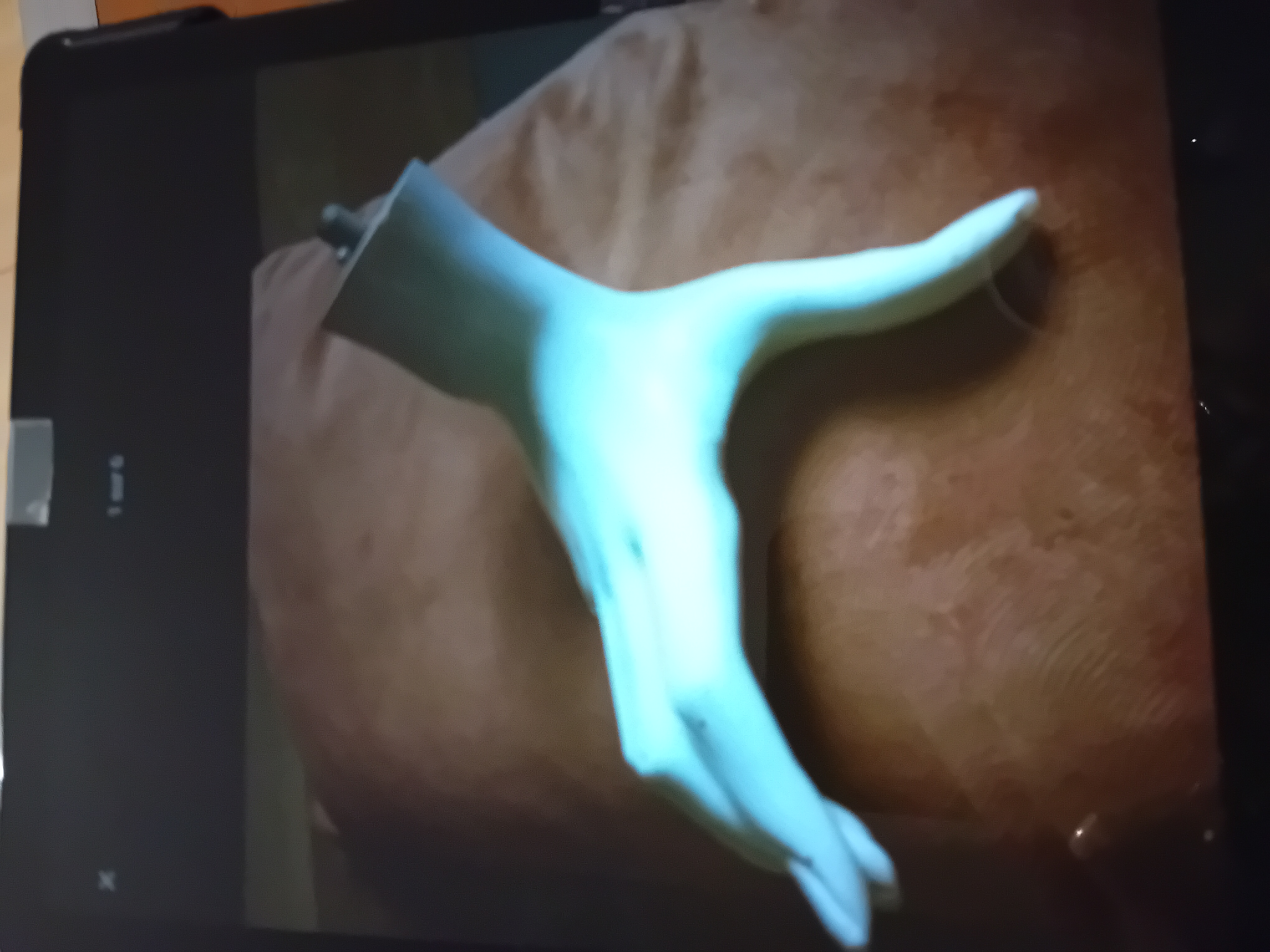 RECHERCHE Mains droite et gauche mannequin blanc 0 Lisieux (14)