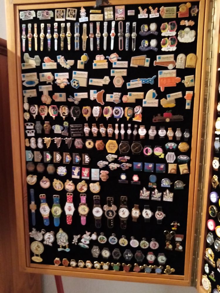 je recherche des pin's sur les montres, cuisiniers et rugby 0 Mandelieu-la-Napoule (06)