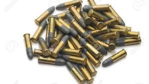 RECHERCHE MUNITIONS 22 LR 0 Six-Fours-les-Plages (83)