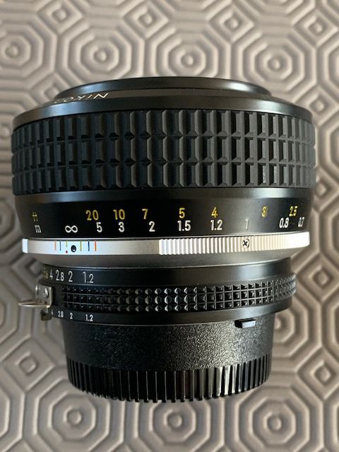 recherche Nikon noct 1 Fontainebleau (77)