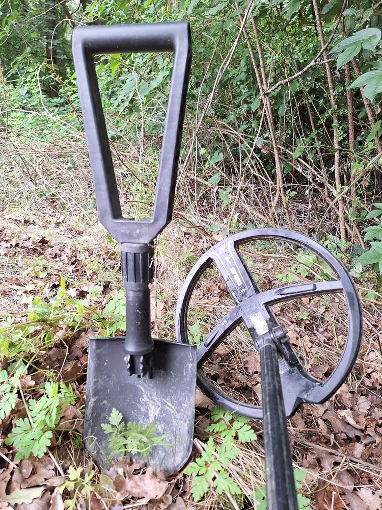 Recherche d'objet
détection 25 Rabastens-de-Bigorre (65)