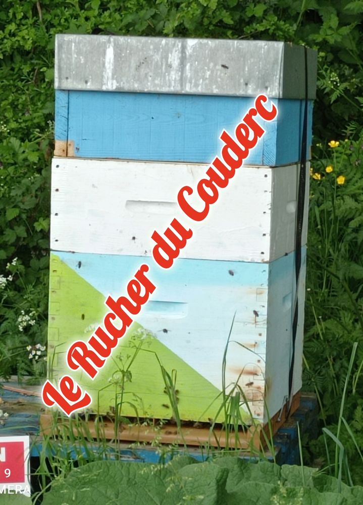 Recherche Ruches et hausses dadant occasion 1 Yolet (15)