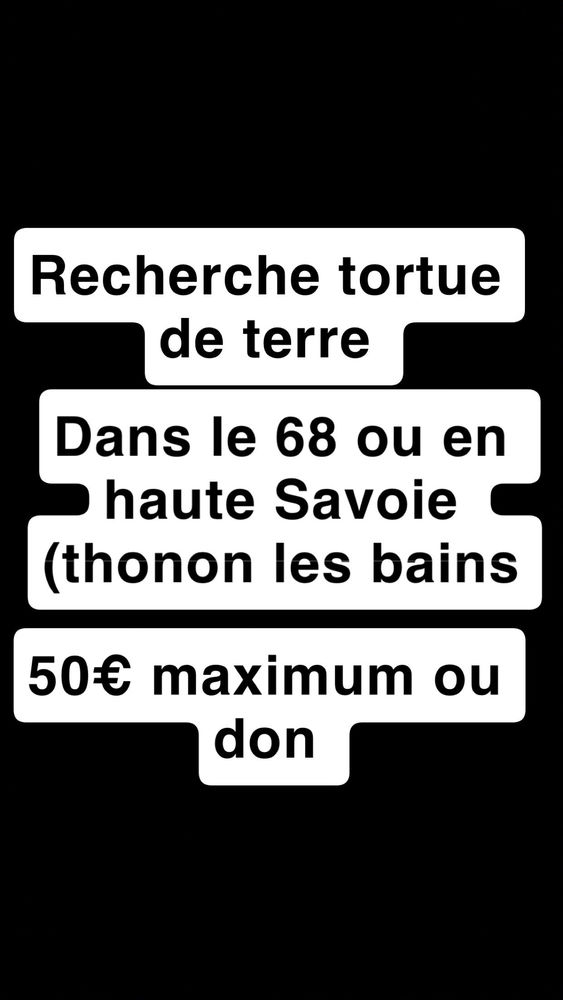 recherche tortue 50� dans le 68 ou haute Savoie (thonon les bains, evian les bains 50 Mulhouse (68)