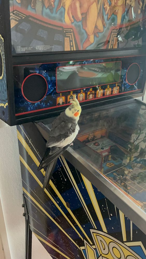 R�cup�re tous les jeux de bar a monnayeur en panne ou hs 1 Les Sables-d'Olonne (85)