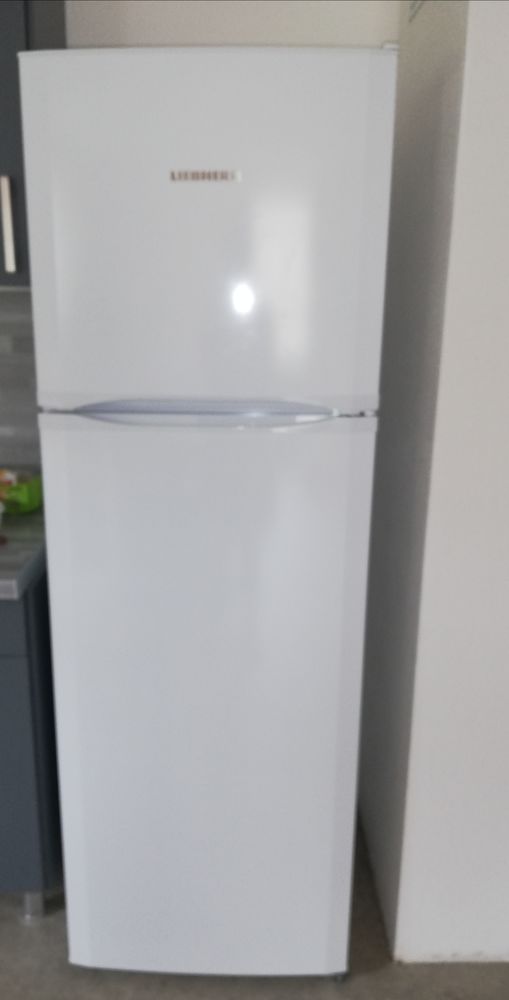 Réfrigérateur congélateur liebherr