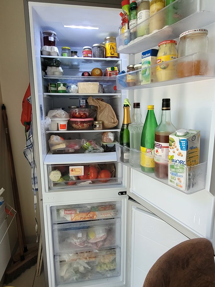 r�frig�rateur cong�lateur SAMSUNG 490 Monteux (84)