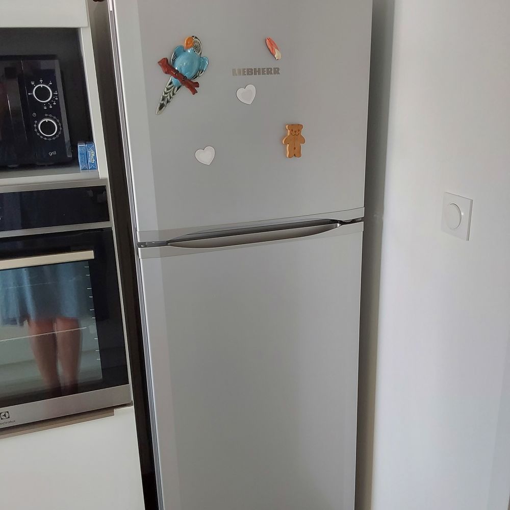 R�frig�rateur/Cong�lateur 280 Les Sables-d'Olonne (85)