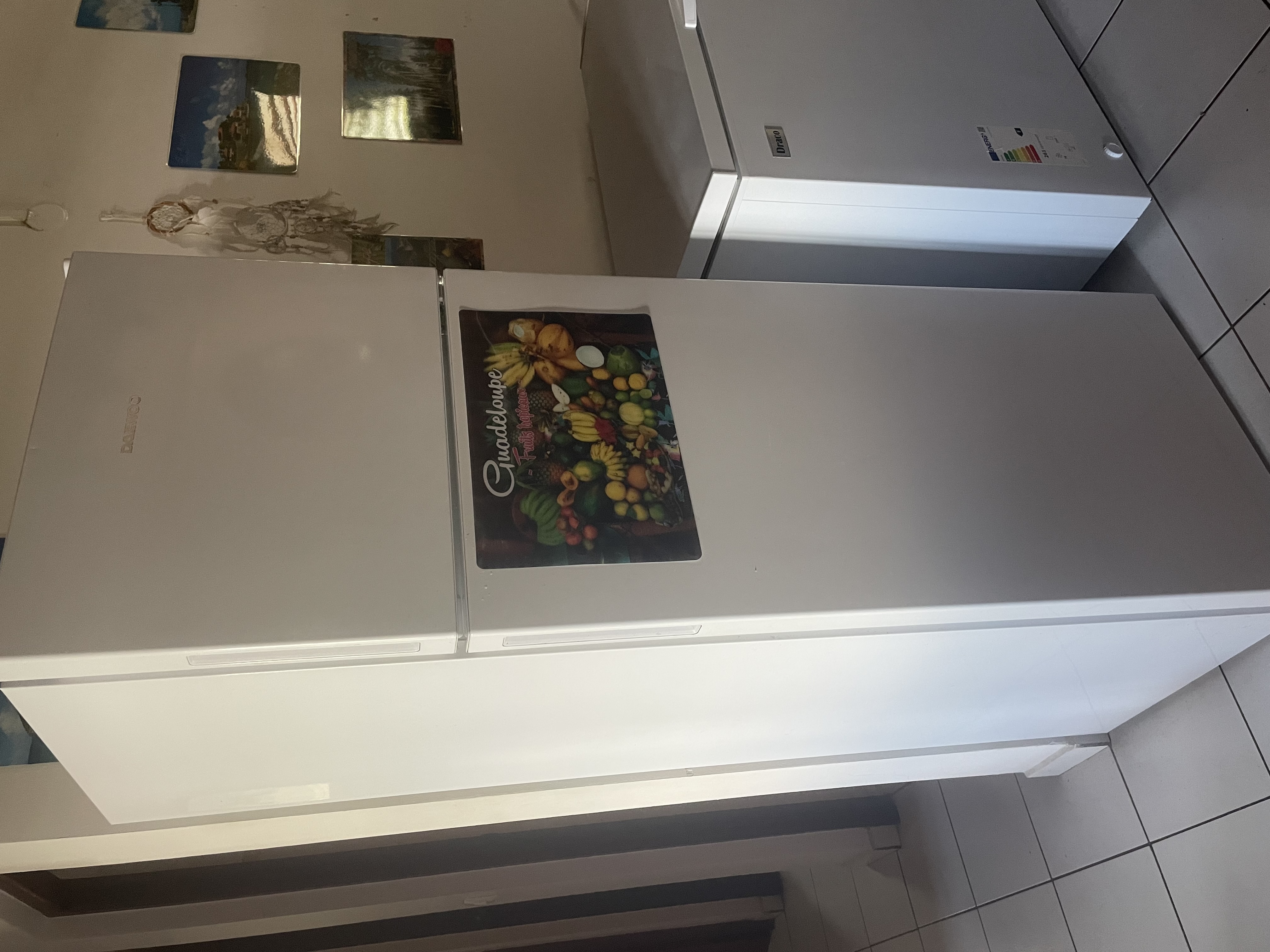 R�frig�rateur cong�lateur 300 Le Moule (97)