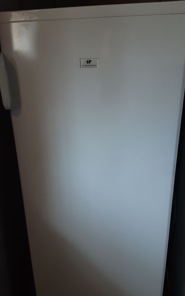 Réfrigérateur CONTINENTAL EDISON F1DL250BW  200 Taulé (29)