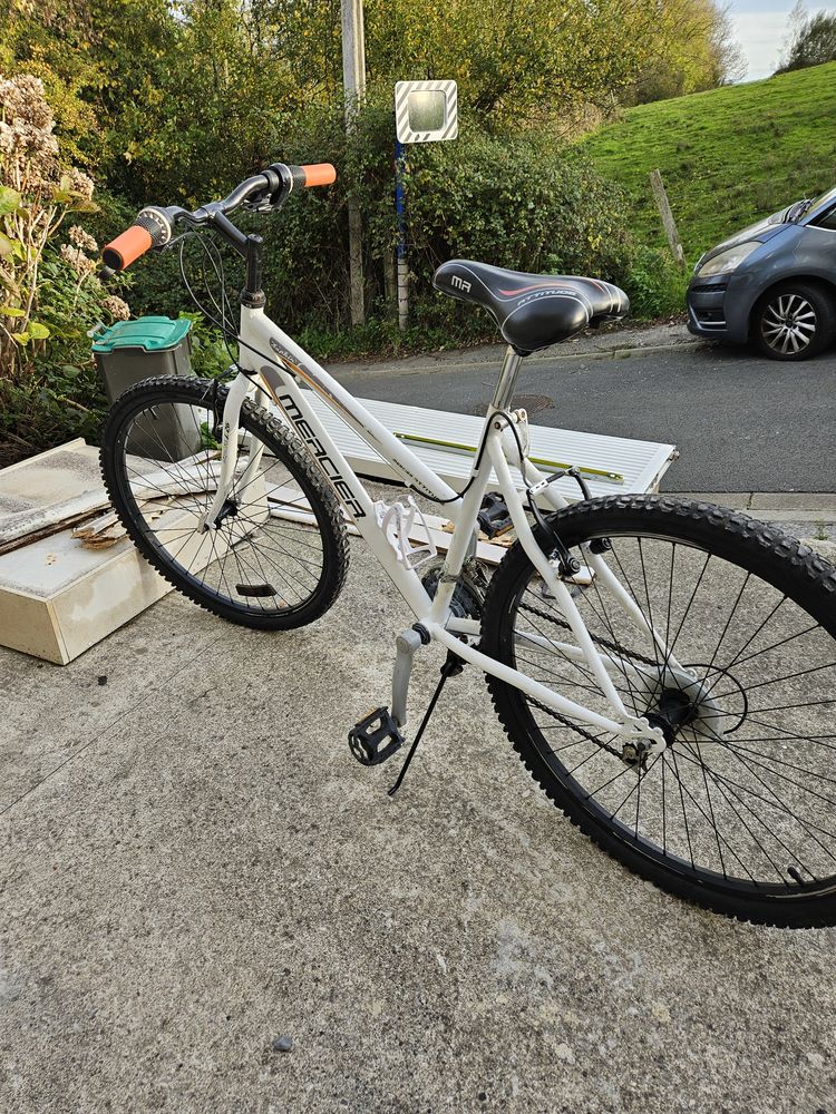 Vtt remis en etat 60 Saint-�tienne-au-Mont (62)