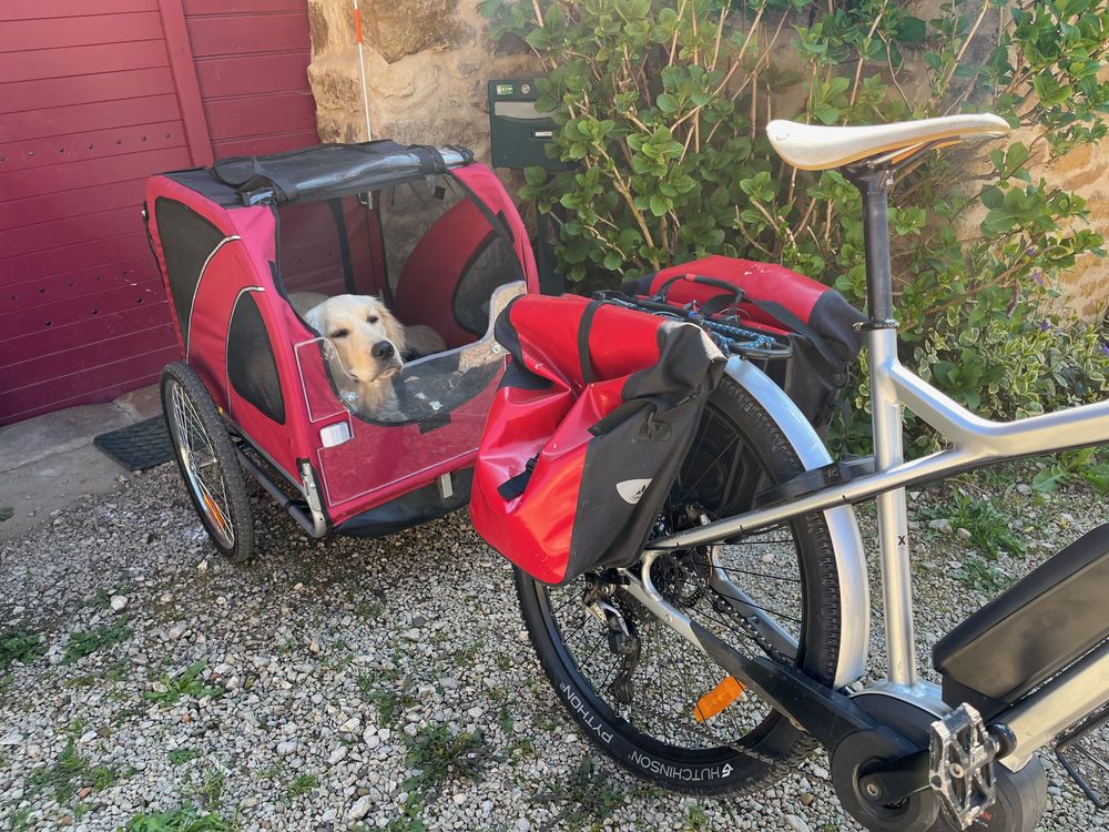 remorque v�lo pour chien 99 Toulouse-le-Ch�teau (39)