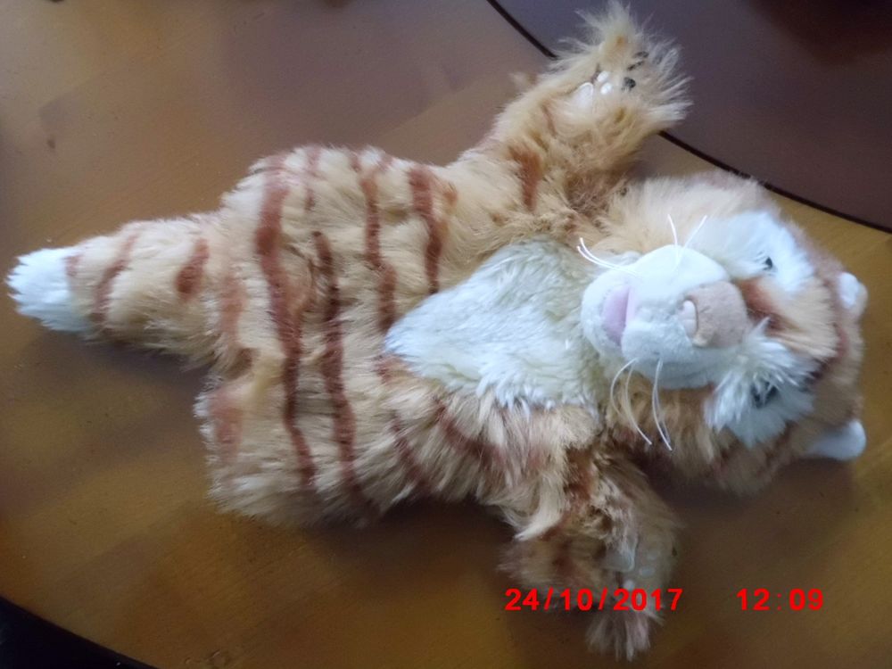 RENARD MARIONNETTE PUPPET CO 19 Oignies (62)