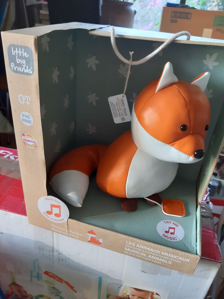 renard musical 10 Nice (06)