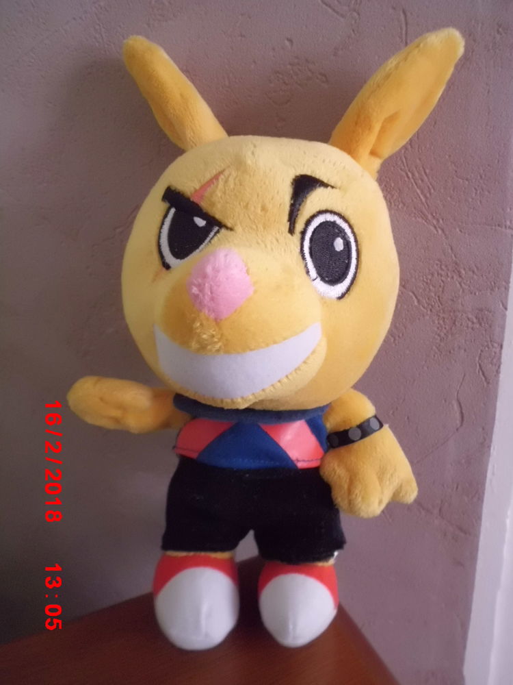 RENARD WALIBI 16 Oignies (62)