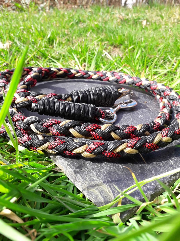 R�nes poney 28 Saulcy-sur-Meurthe (88)