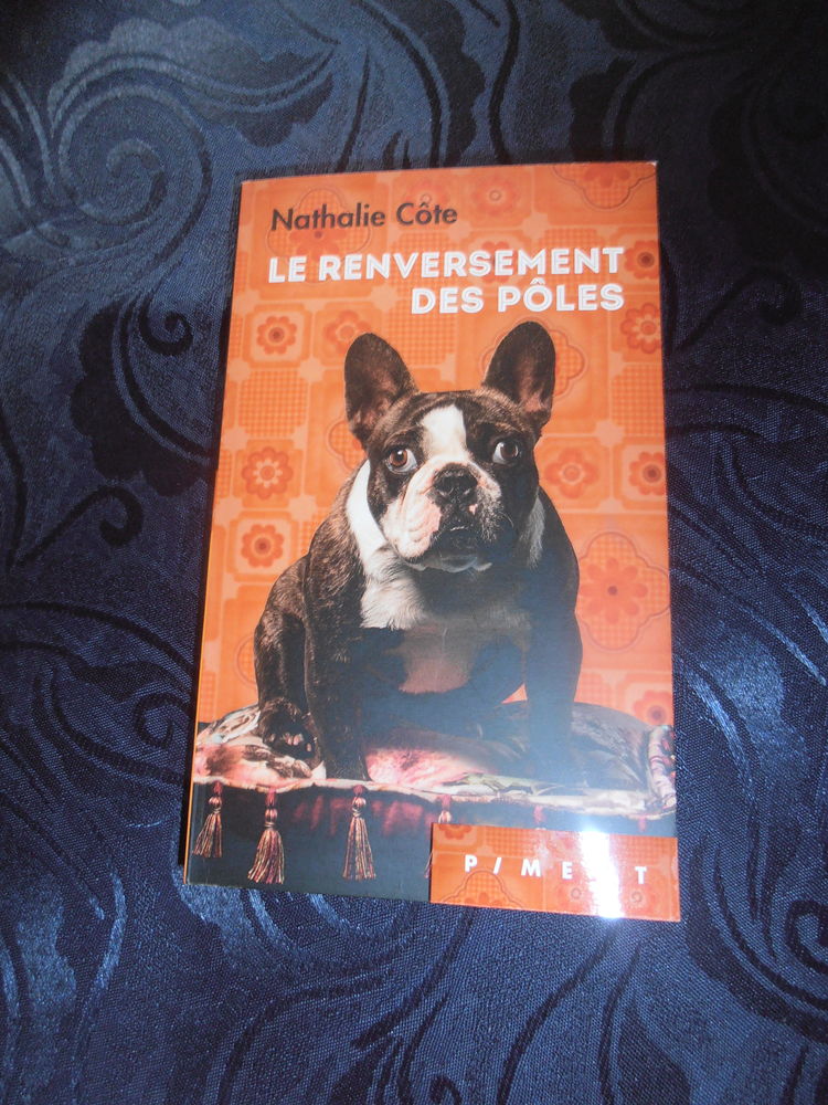 Le renversement des P�les (6) 5 Tours (37)