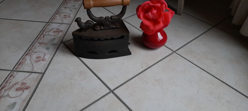 Fer a repasser 18 Saint-Philbert-de-Grand-Lieu (44)