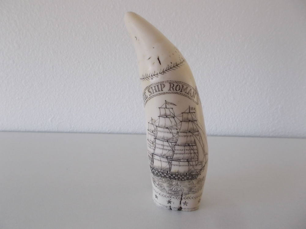 TBE : R�plique de DENT DE CACHALOT GRAV�E - Envoi ok 25 Caz�res (31)