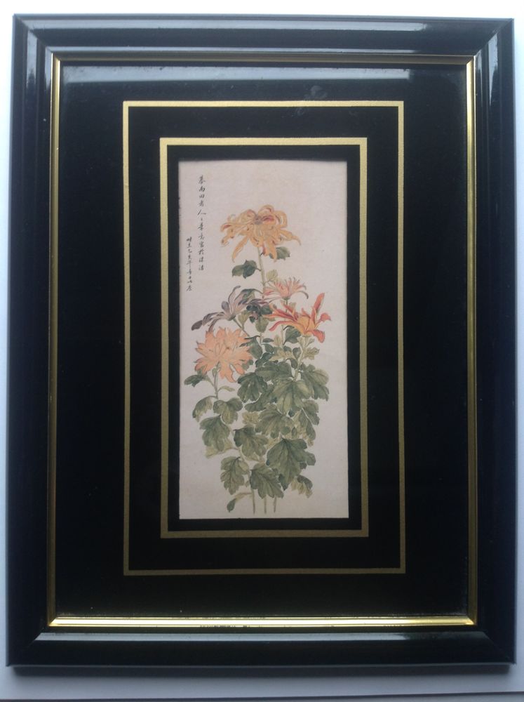 REPRODUCTION DE FLEURS D'ASIE CADRE NOIR LAQU� 21 x 27 cm En 12 Tr�gunc (29)