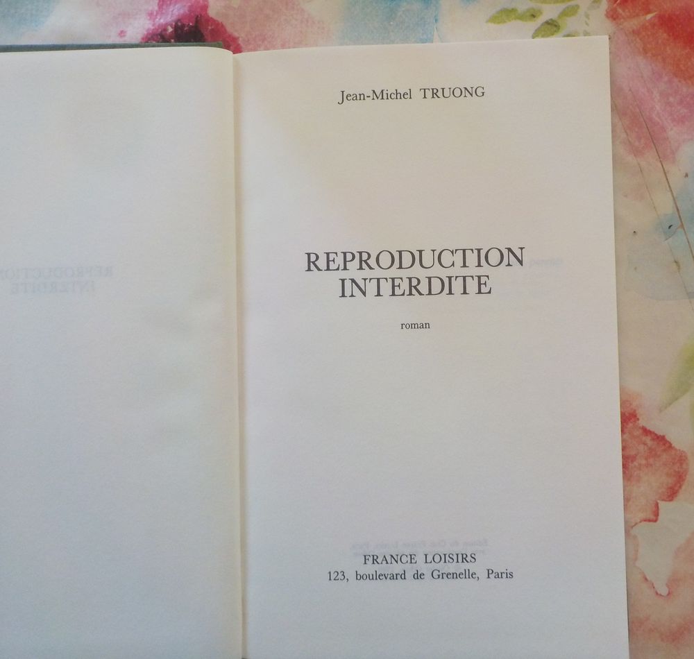 REPRODUCTION INTERDITE de Jean-Michel TRUONG France Loisirs 2 Bubry (56)
