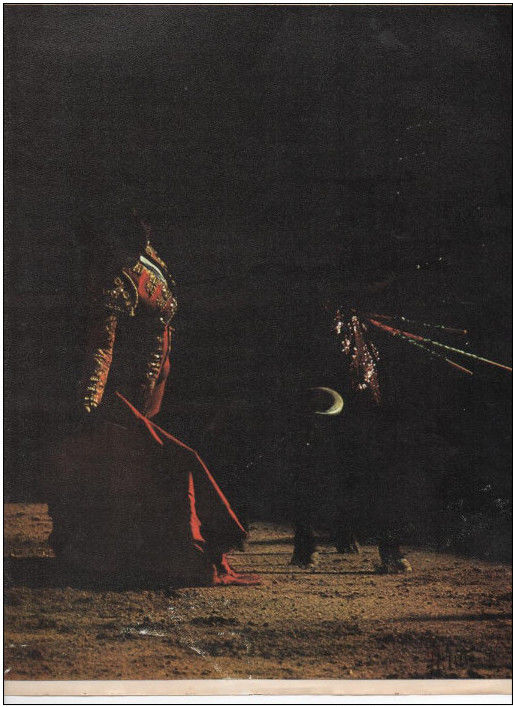  Reproduction photo tauromachie : torero et taureau 6 Montauban (82)