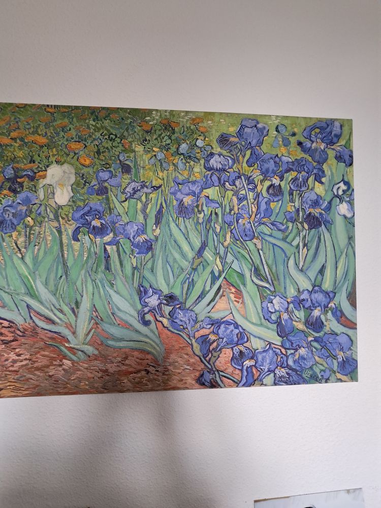 Reproduction de Vincent VAN GOGH 130 Bort-les-Orgues (19)