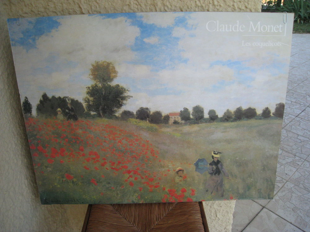 Reproduction 20 Caz�res (31)