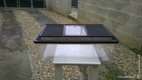 Reptile 20 Dampleux (02)