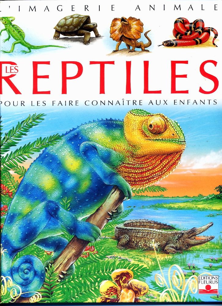 Les reptiles : Pour les faire conna�tre aux enfants 4 Argenteuil (95)