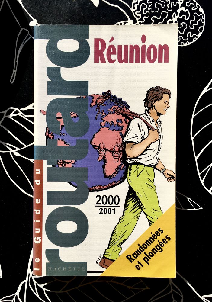 R�UNION - Guide du Routard, 288 pages ; �tat neuf 2 L'Isle-Jourdain (32)