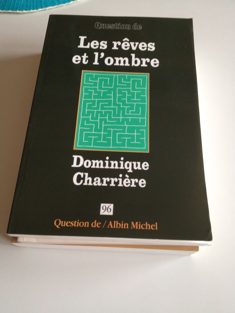 Les rêves et l'ombre 
Collection Question d ALBIN MICHEL ¨
10 Saint-Étienne (42)