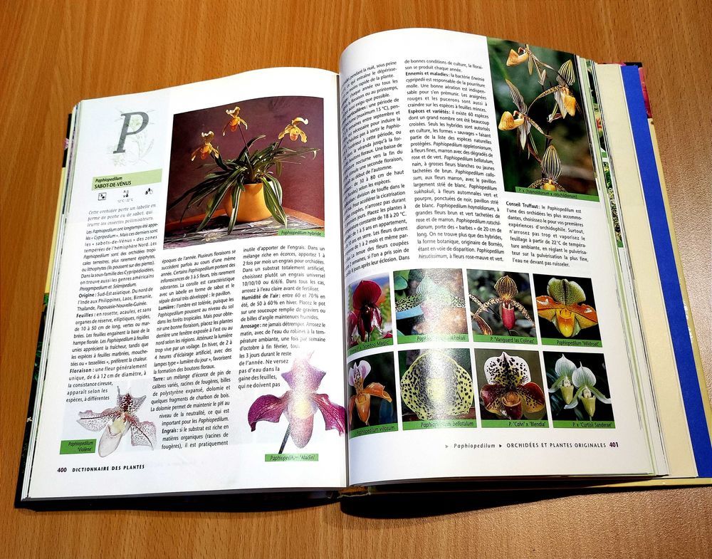 Revue Le Truffaut �  Plantes d'int�rieur 3 Chazelles-sur-Lyon (42)