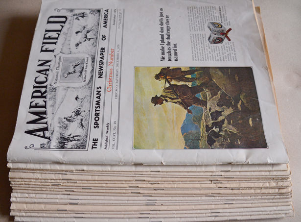 17 revues sportives AMERICAN FIELD anciennes tb �tat 12 Saint-Clair-sur-Galaure (38)