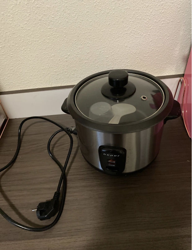 rice cooker 25 Reims (51)