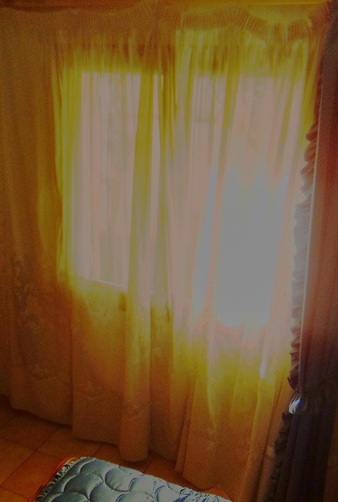 Rideau Brod� en polyester 5 Eysines (33)