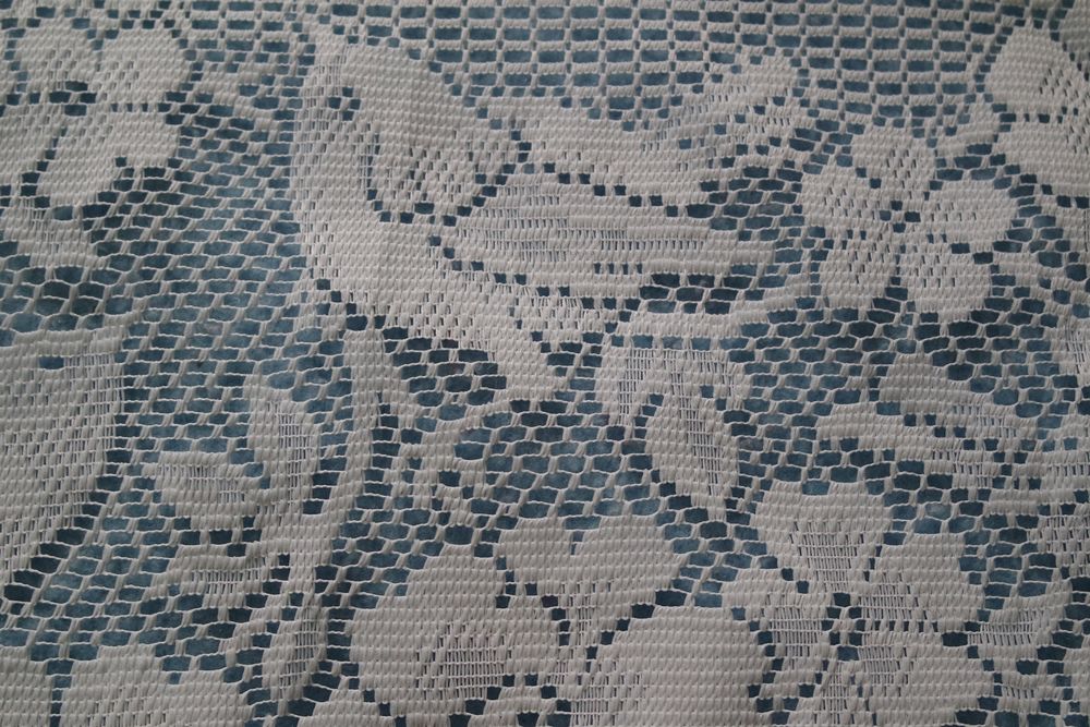 rideaux motif   oiseau  15 Houchin (62)