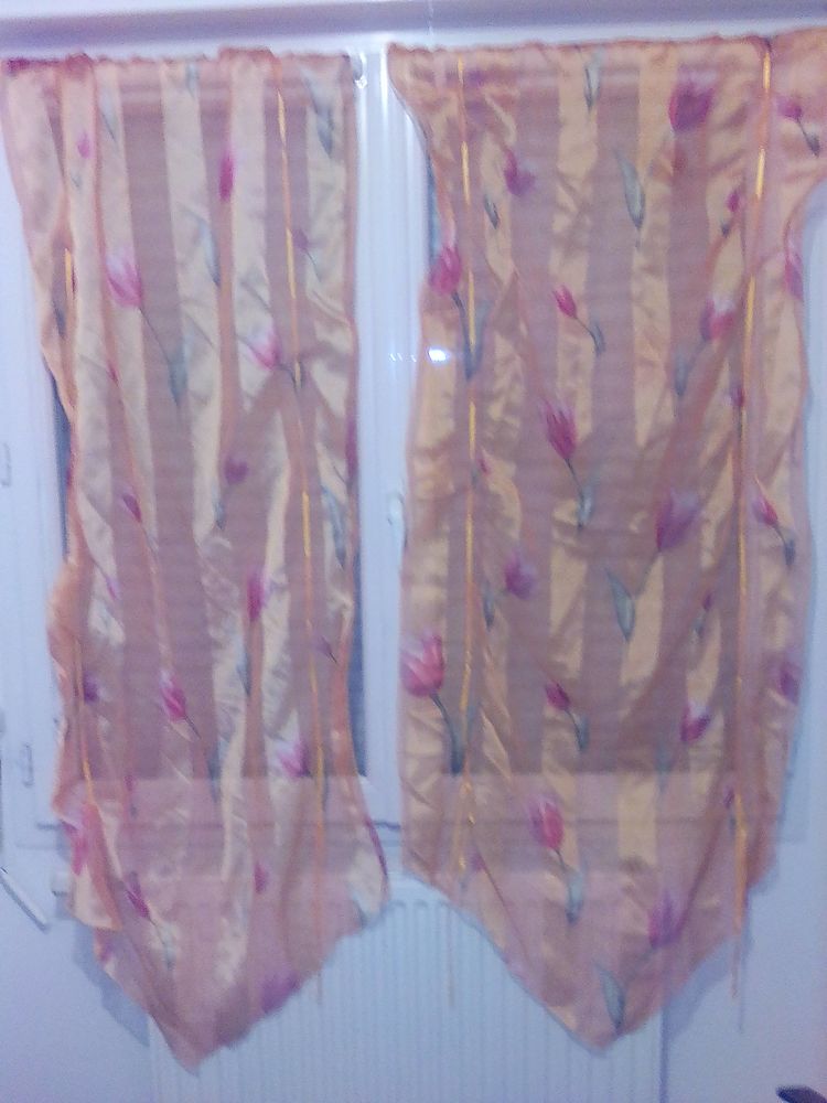 2 rideaux transparent au choix 12 Villiers-Charlemagne (53)