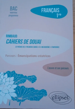 Rimbaud 5 Poitiers (86)