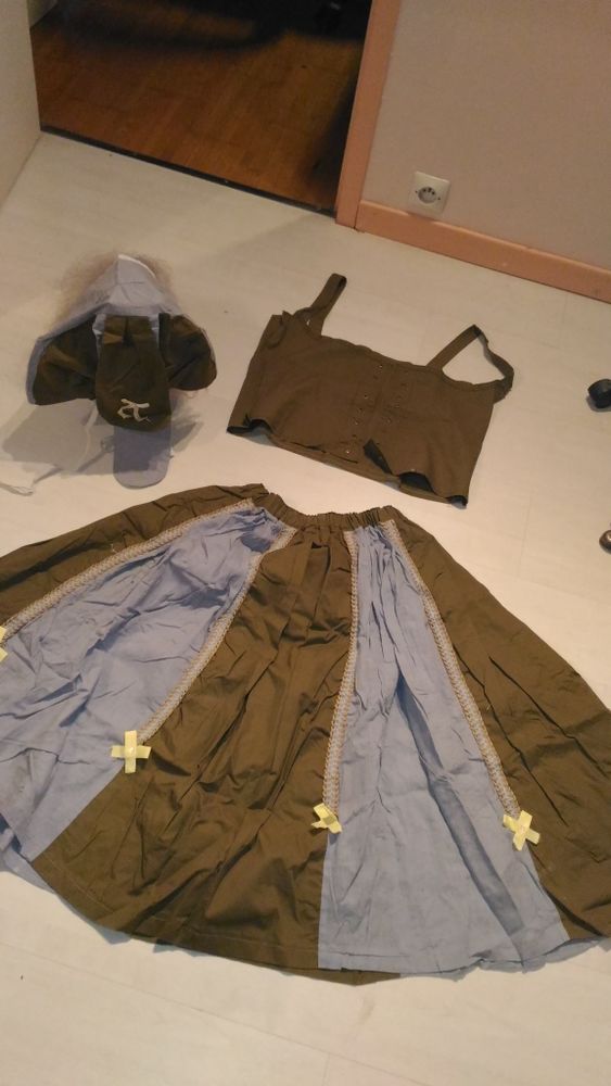 robe champ�tre (d�guisement) femme 20 Saint-Br�s (30)