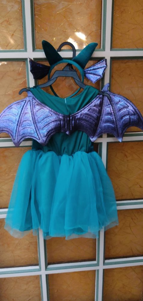 Robe d�guisement 15 Dunkerque (59)