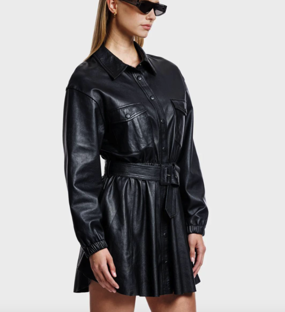 Robe veste cuir Alter Ego
M / 38 / 10�Neuf avec �tiquette 0 Nice (06)