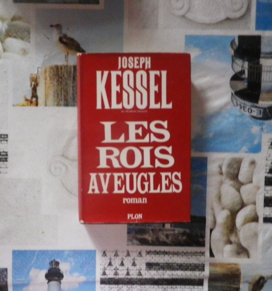 LES ROIS AVEUGLES de Joseph KESSEL Ed. Plon 15 Bubry (56)