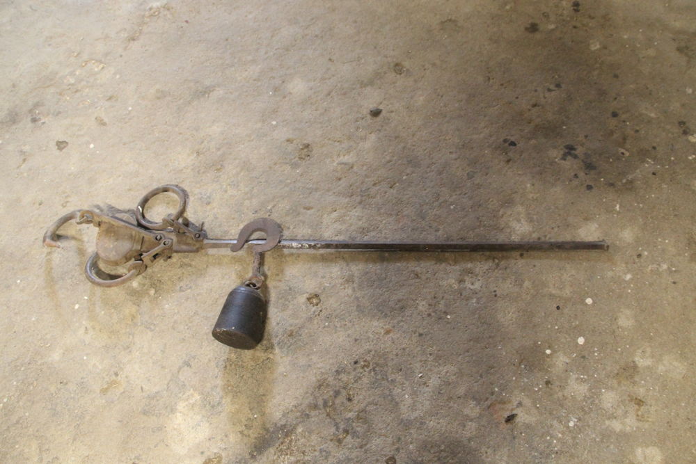 ROMAINE 1 Sauvessanges (63)