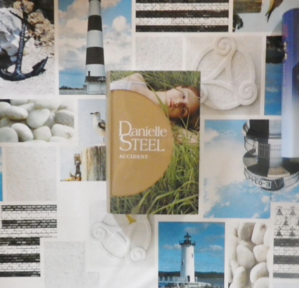 ROMAN ACCIDENT de Danielle STEEL 5 Bubry (56)
